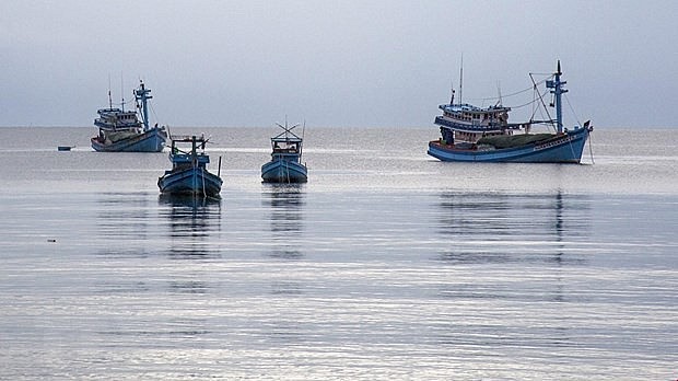 Fishing boats anchored in the waters of Phú Quốc island, Kiên Giang Province. Việt Nam’s fishery sector is preparing for the visit by an EC delegation at the end of this month. — VNA