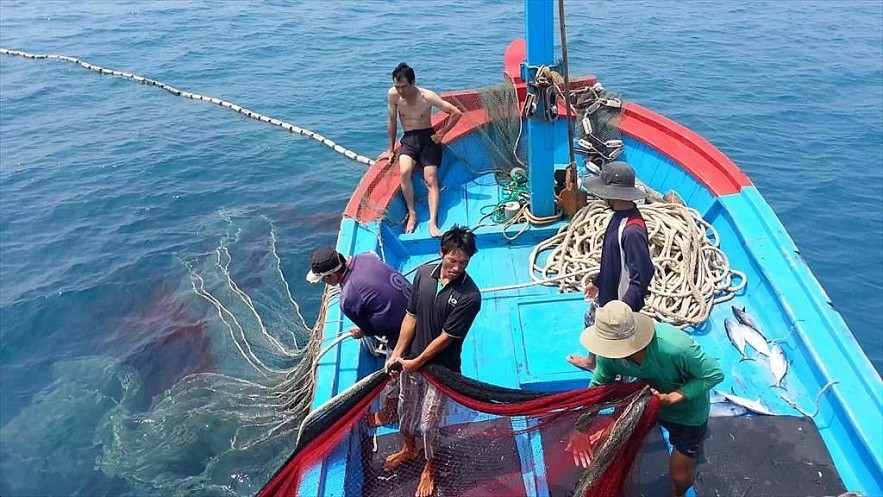 EC Acknowledges Vietnam’s Efforts in IUU Combat: Ministry