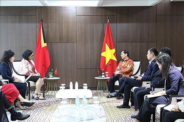 Foreign Minister Bui Thanh Son (R) and Minister of Foreign Affairs and Cooperation of Timor Leste Adaljiza Albertina Xavier Reis Magno at the meeting (Photo: VNA)