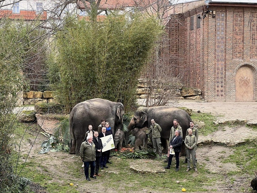 Ambassador Vu Quang Minh (holding a nameplate) and his wife Nguyen Minh Hanh (holding a certificate of patronage) attended the naming ceremony of baby elephant Bao Ngoc. Photo courtesy of the zoo