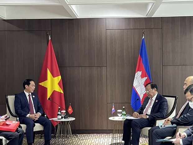 Foreign Minister Bui Thanh Son (L) and Cambodian Deputy Prime Minister and Foreign Minister Prak Sokhonn. Photo: BNG