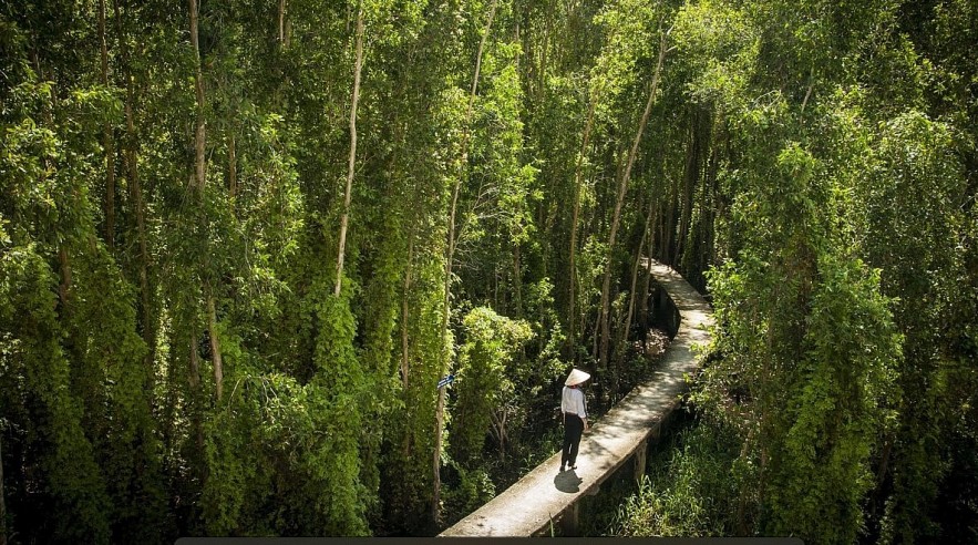 Most 'Touch Your Heart' Roads in Vietnam