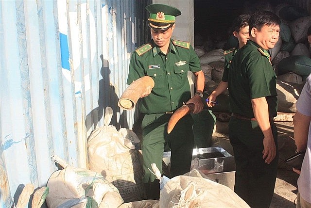 Border guard and customs forces check a container of illegal ivory cargo disguised as fine art at Đà Nẵng's Tiên Sa Port. — VNS Photo Công Thành