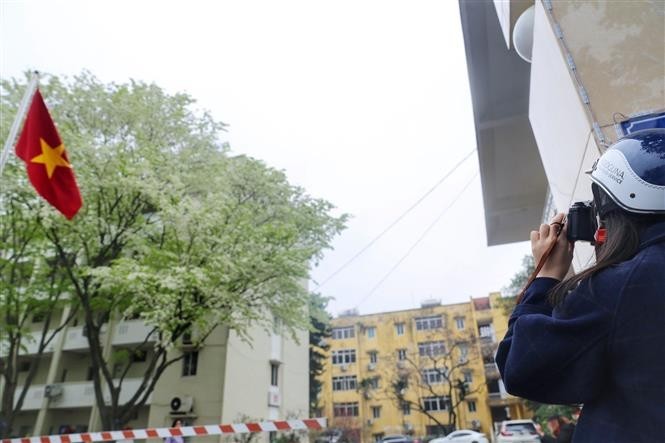 Blossoming Sua Flowers Decorate Hanoi's Streets During Spring Days