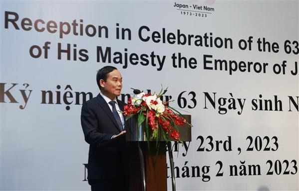 Deputy Prime Minister Tran Luu Quang speaks at the ceremony. Photo: VNA