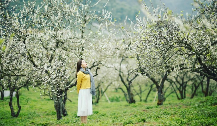 the 5 amazing destinations to explore for a spring trip in vietnam