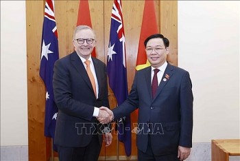 Vietnam, Australia build increasingly comprehensive, equal, reliable relations: Ambassador