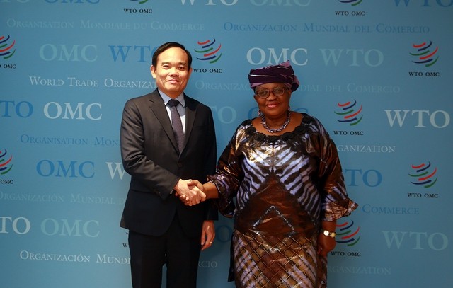 At the meeting between Deputy PM Tran Luu Quang and WTO Director General Ngozi Okonjo-Iweala. Photo: VNA