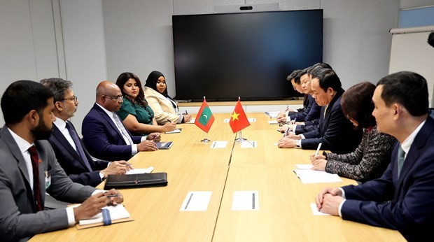 At the meeting between Deputy PM Tran Luu Quang and FM of the Maldives Abdulla Shahid. Photo: VNA