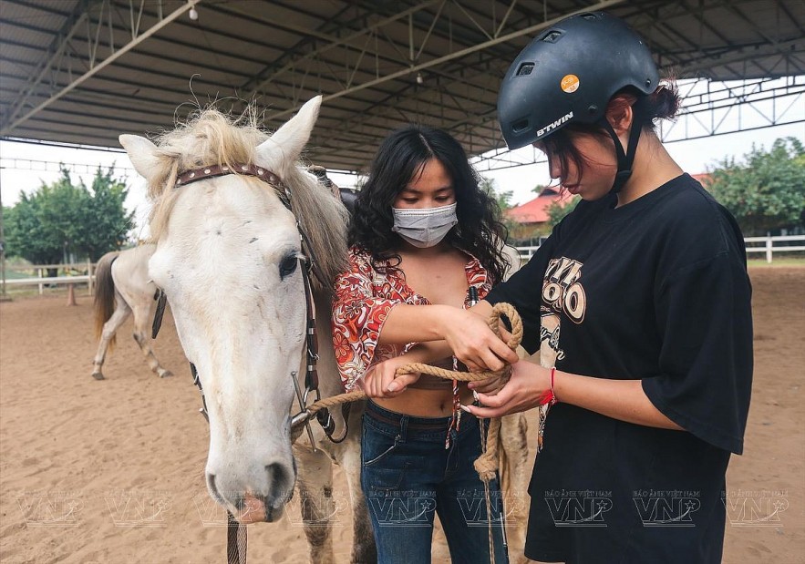 Experience Horse Riding in Hanoi