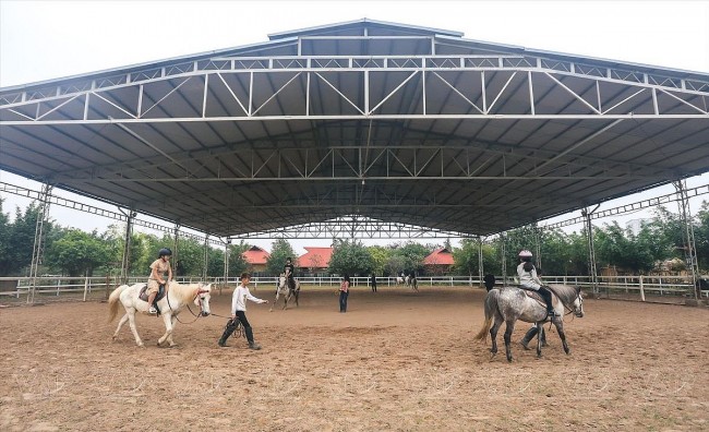 Experience Horse Riding in Hanoi
