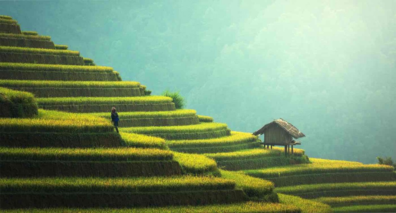 vietnam among the top asian destinations for a family holiday