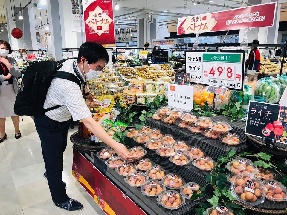 vietnamese japanese firms promote cooperation