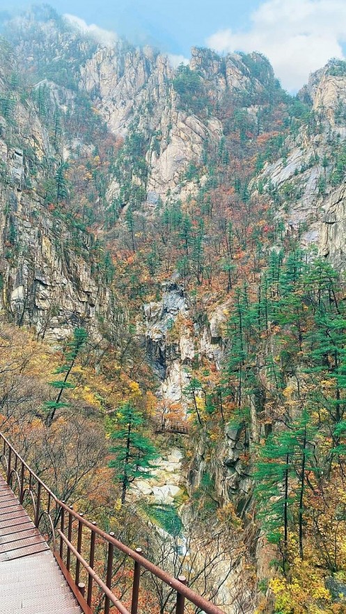 Vietnamese Man Conquers Korean Mountains