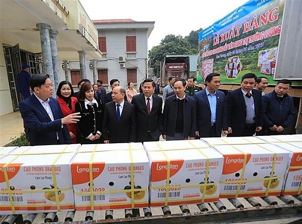 First Shipment of Vietnamese Cao Phong Oranges Departs to UK