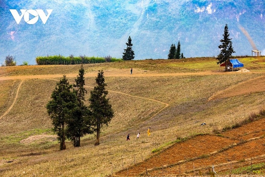 Suoi Thau Steppe in the northern mountainous province of Ha Giang