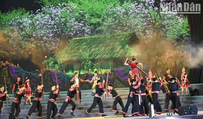 Vietnam News Today (Mar. 14): Hoa Ban (Bauhinia Flower) Festival Opens in Dien Bien