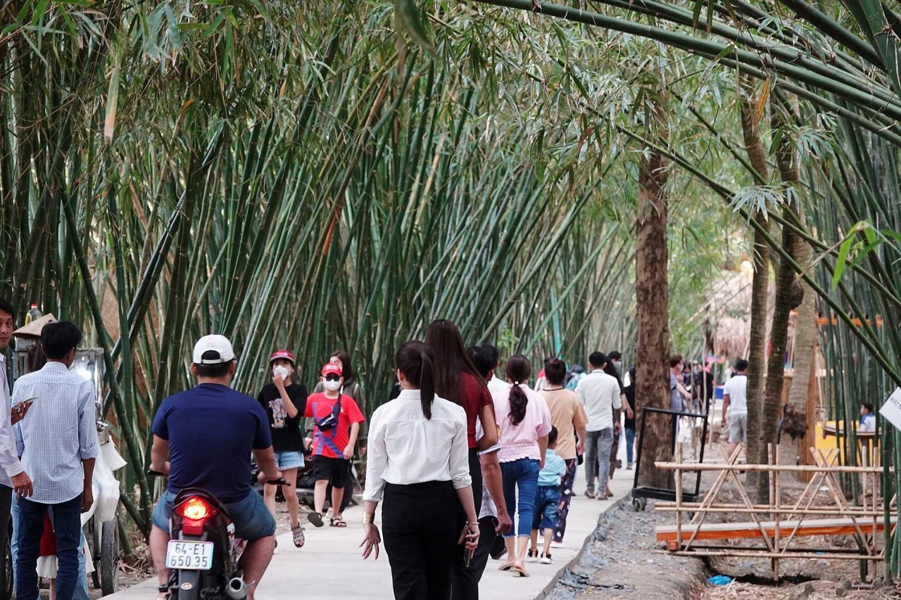 This has become one of the most famous tourist destinations in Hau Giang Province. Photo: Lao Dong 