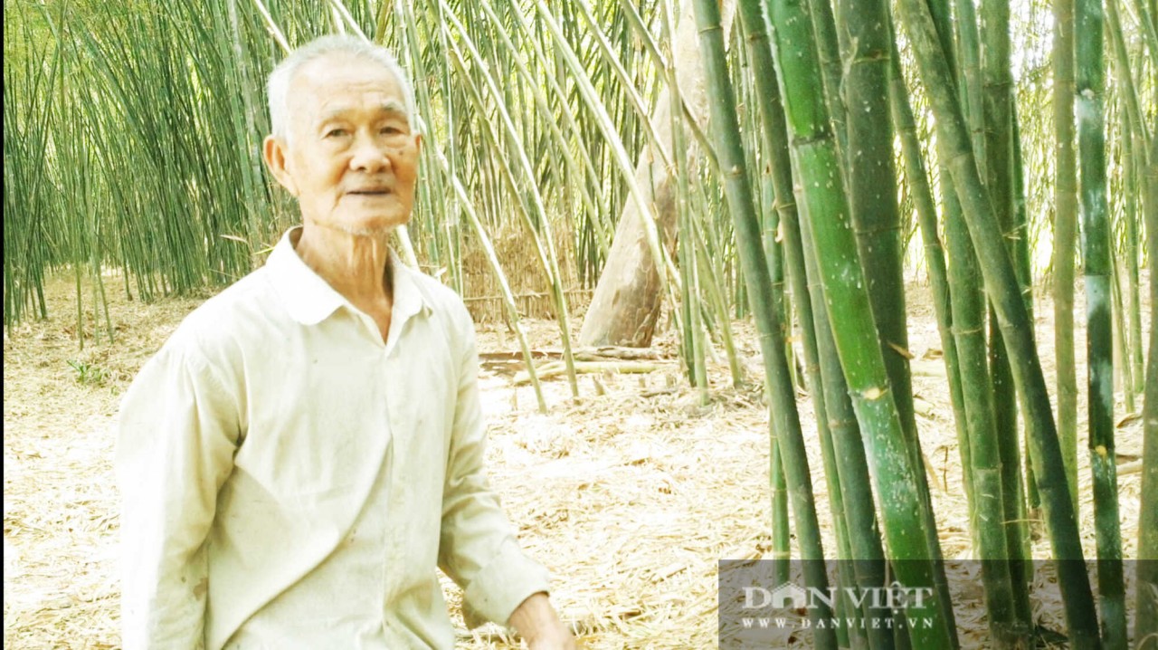 Dang Van Sang, the owner of the bamboo garden. Photo: Dan Viet 