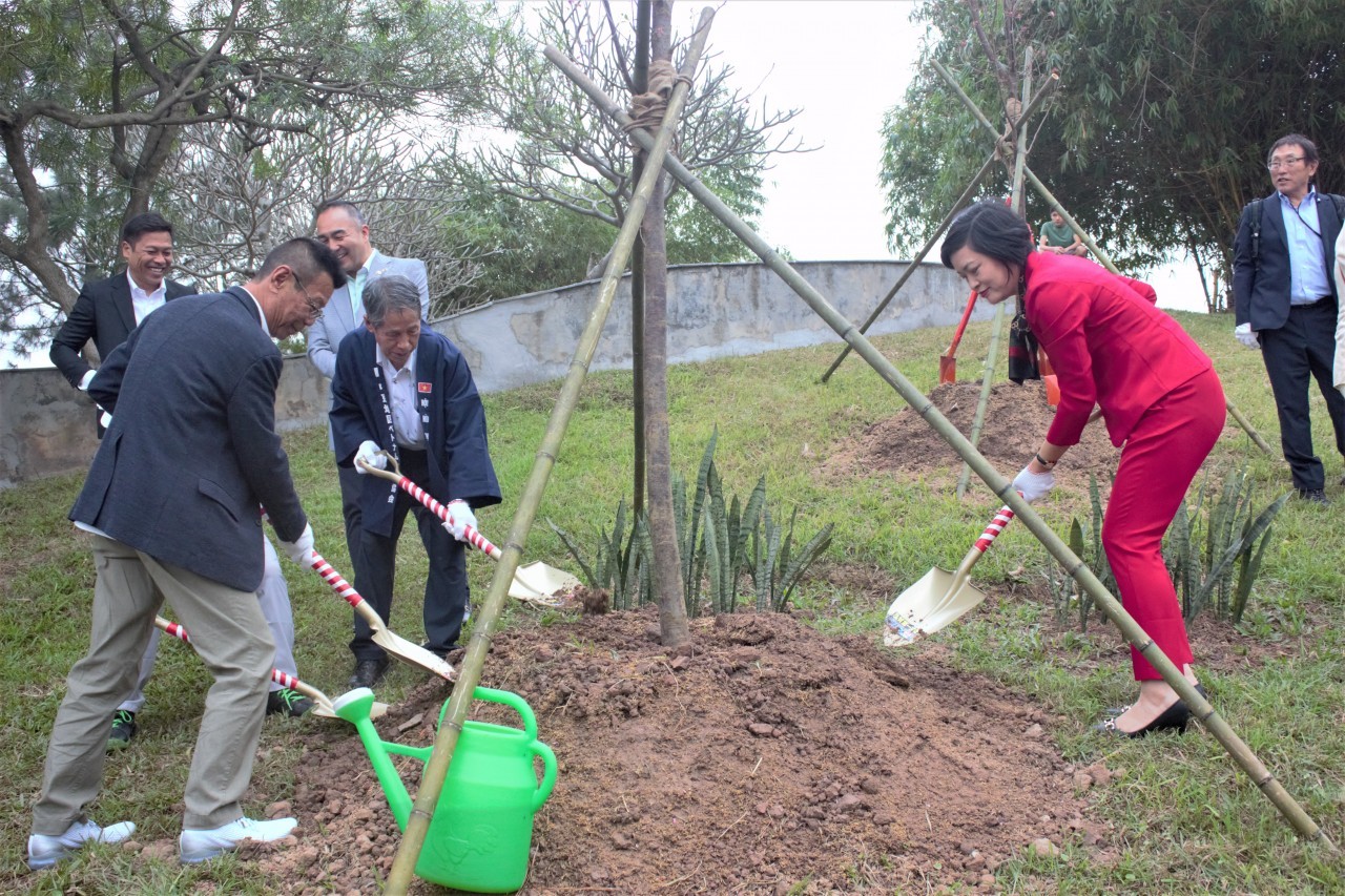 Officials plant cherry blossom trees in Hoa Binh park 