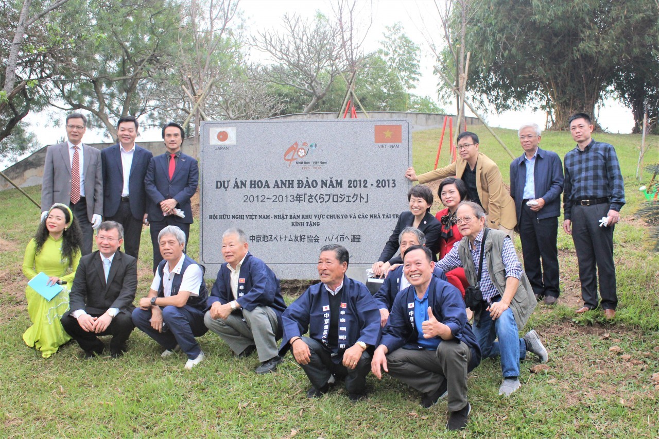 The tree donated project aims  to turn Hoa Binh into a well-known cherry blossom park. Photo: VNT