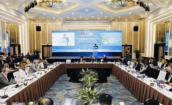 Promoting International Cooperation in Vietnam’s Offshore Wind Power Development