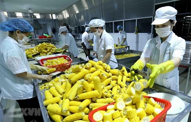 eu us companies keen to invest in vietnam