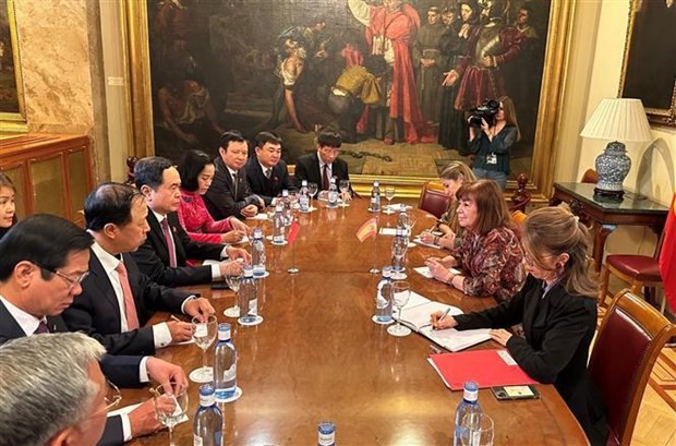 NA Vice Chairman Tran Thanh Man holds talks with Vice President of the Spanish Senate Cristina Narbona in Madrid on March 16. Photo: VNA