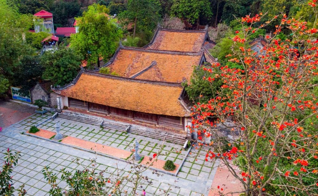 Red Silk-Cotton Flowers in Full Bloom at Hanoi's Thousand-Year-Old Pagoda