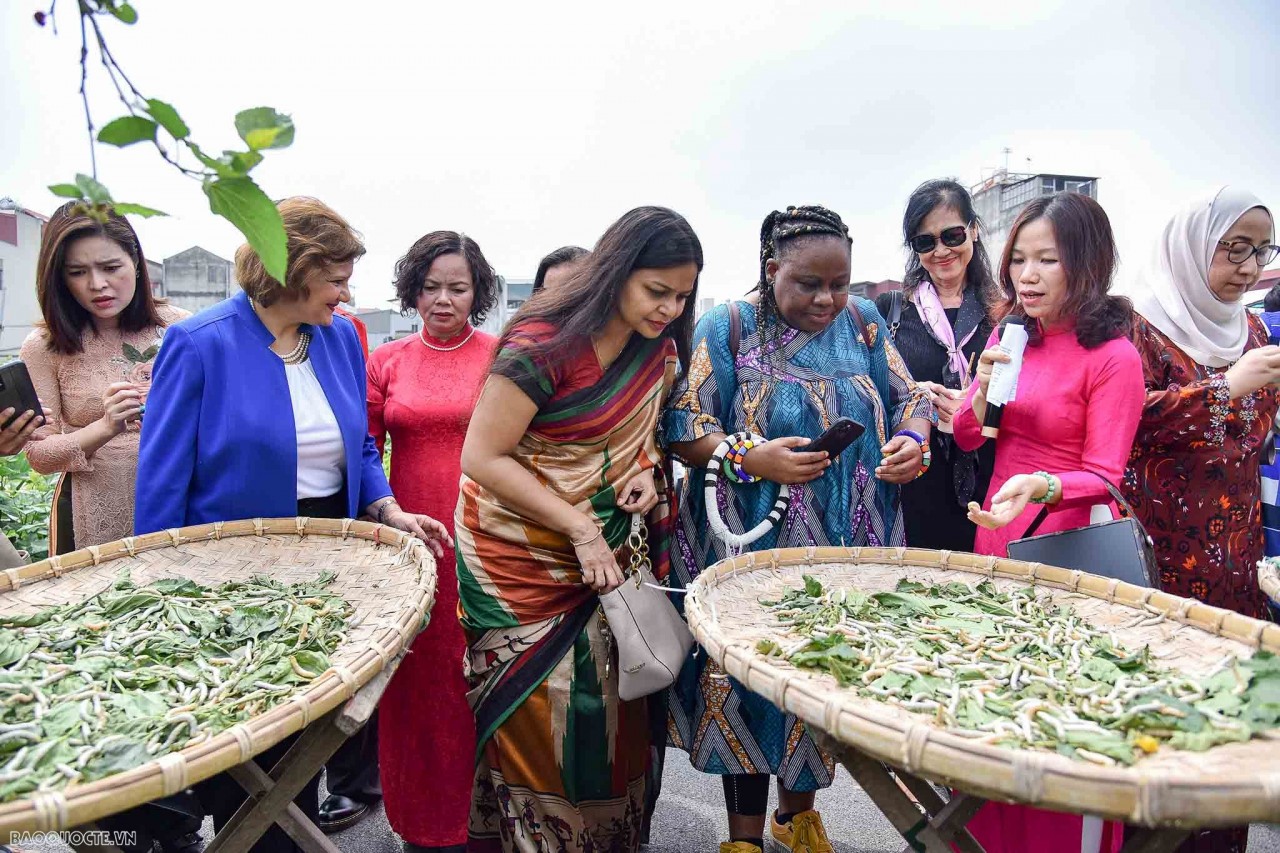 They watched the silkworm rearing process, sampled the ripe berries and learned about silk incubation and weaving. Photo: TG&VN