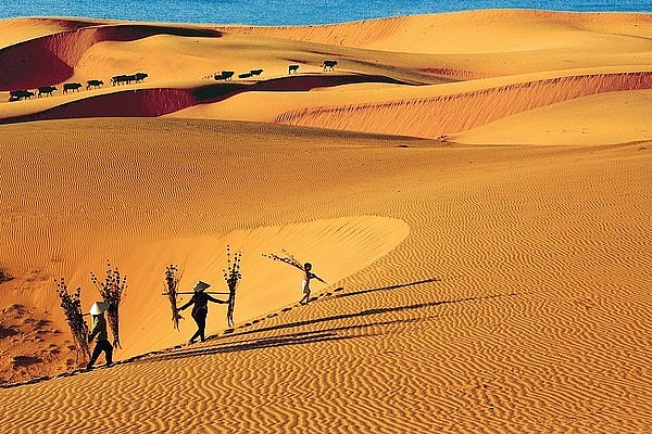 Sand dunes in Mui Ne of Binh Thuan (Photo: VNA)