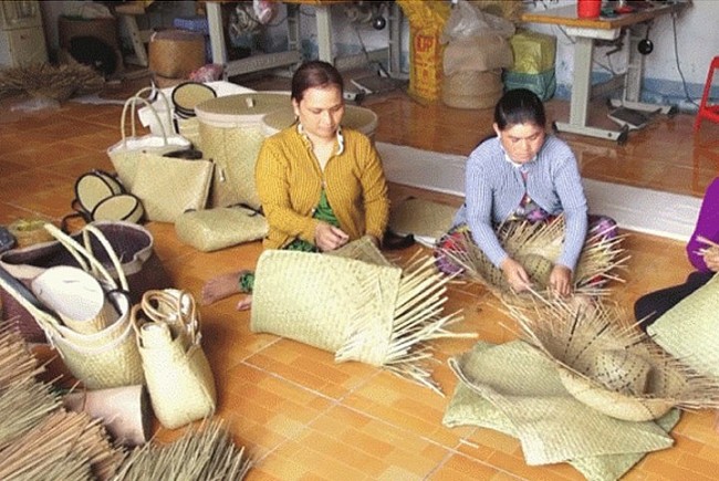 Norway-funded Project Promotes Handicraft, Cuts Plastic Waste in Thua Thien-Hue