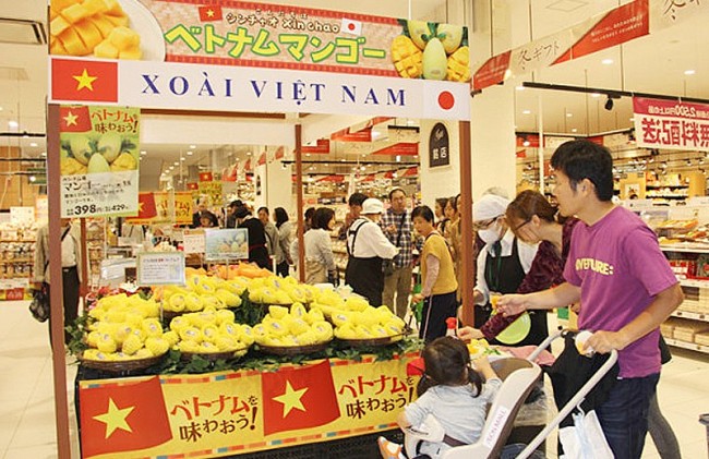 Bringing Vietnamese Goods to Foreign Retail Networks