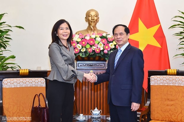 Foreign Minister Bui Thanh Son receives UN Resident Coordinator in Vietnam Pauline Tamesis in Hanoi on April 12. Photo: TG&VN