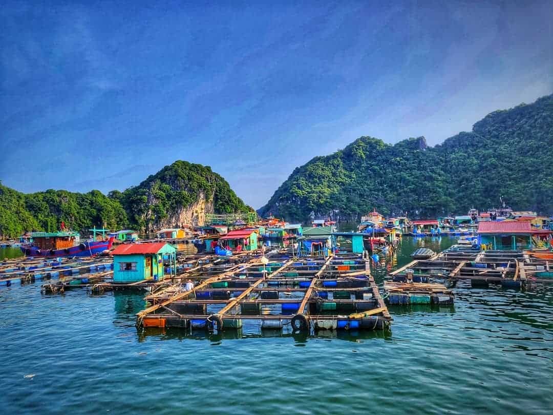 Vietnam's Floating Fishing Village Honored By American Magazine