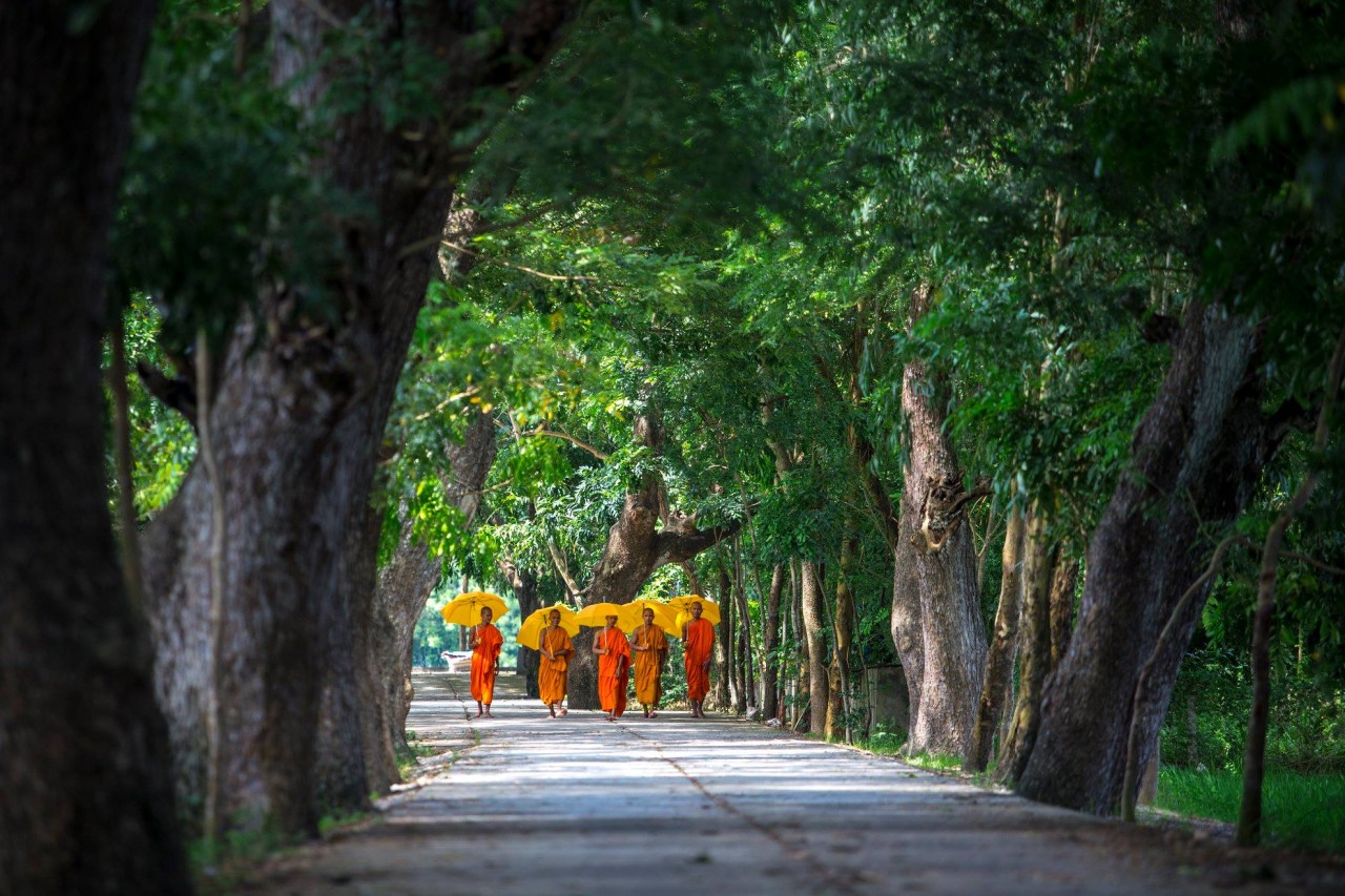 explore the poetic beauty of the old khmer pagoda in an giang