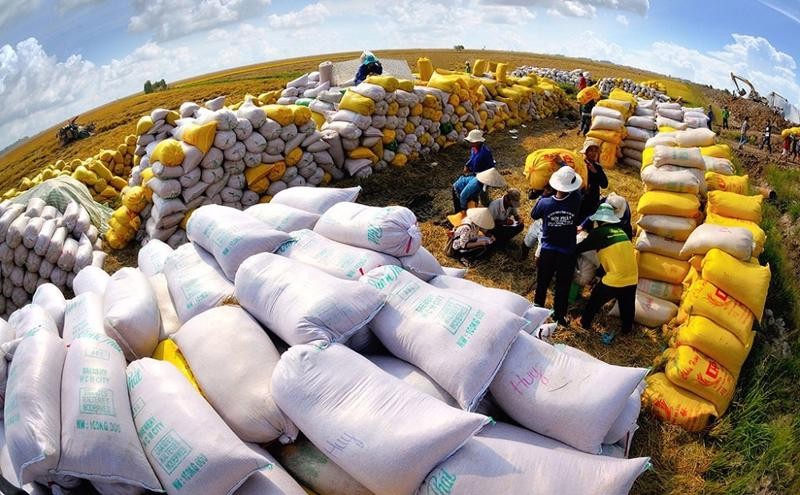 philippines remains vietnams biggest rice importer in q1