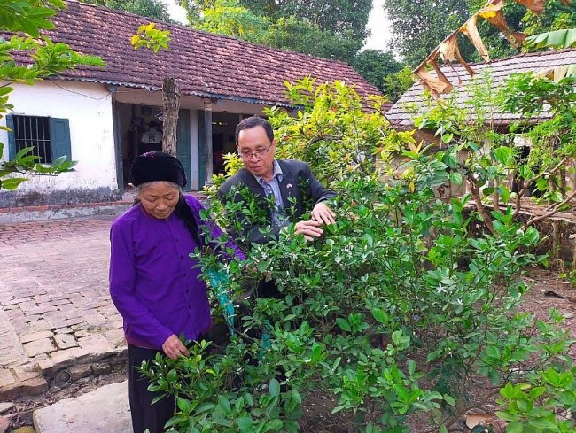 How Foreigners Celebrate Their Traditional New Years in Vietnam