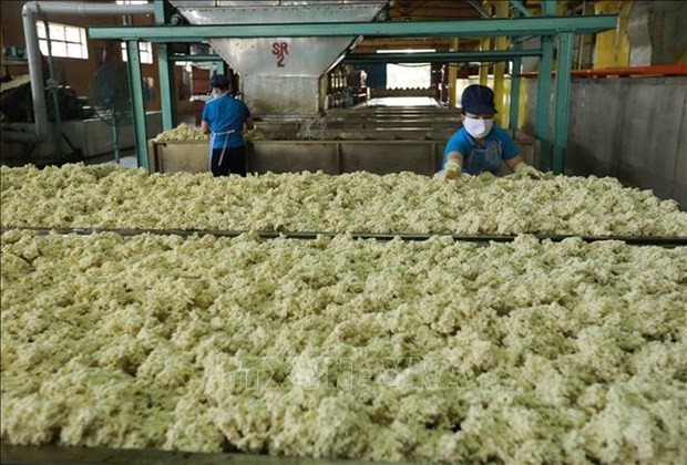 At a rubber processing facility in Vietnam. Photo: VNA