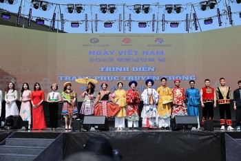 Festival Promotes Vietnam-RoK Culture Exchange