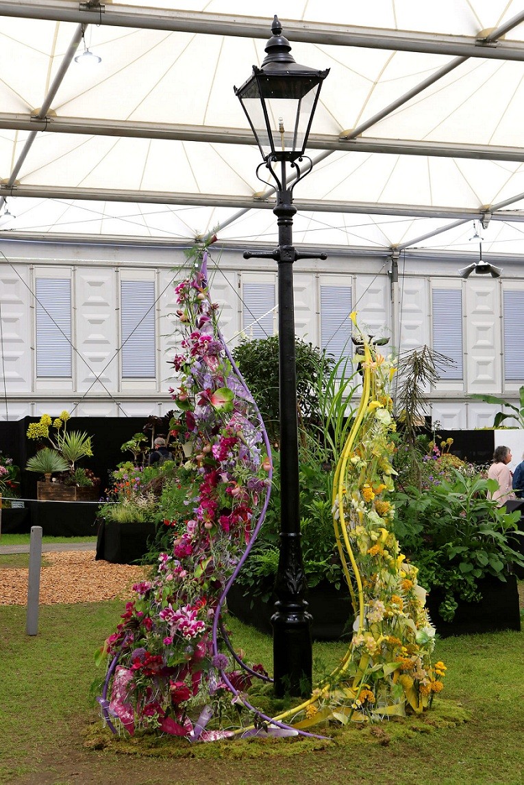 First Vietnamese Expat to Win High Prize at Chelsea Flower Show 2023