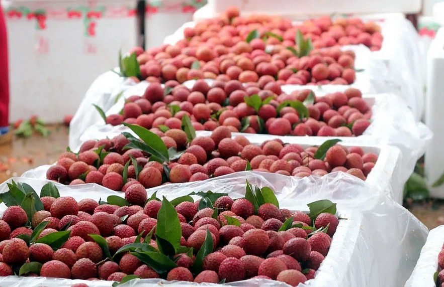 Vietnam's Potential to be Major Fruit Exporter to USA