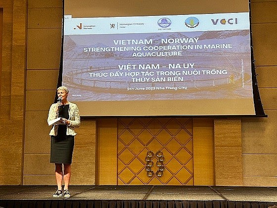 Norwegian Ambassador to Vietnam Hilde Solbakken shared the key success factor behind Norway's story. (Photo: PH)