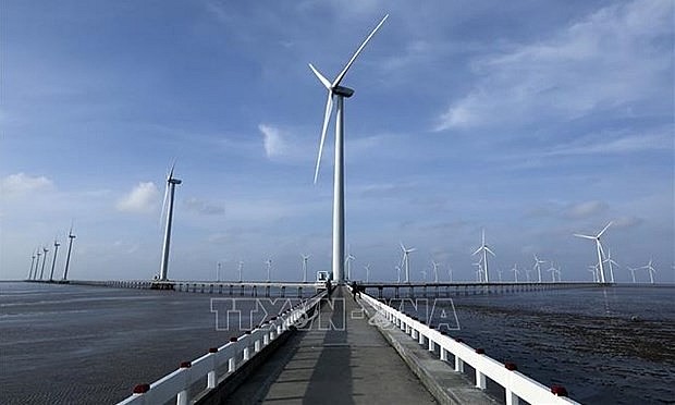 Some of the 62 turbines of the Bac Lieu wind power plant in Bac Lieu province (Photo: VNA)