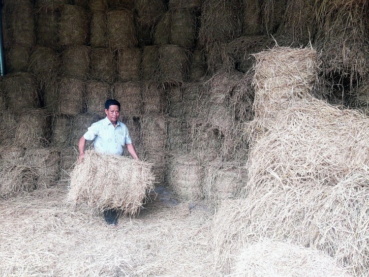 Khmer Billionaire Lam Se Shares Success of Straw Business