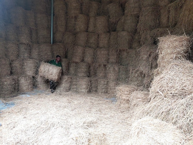 Khmer Billionaire Lam Se Shares Success of Straw Business