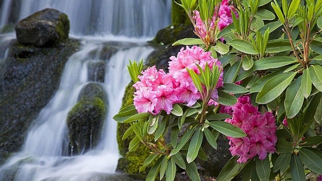 Discover The Magnificent Do Quyen Waterfall In Vietnam