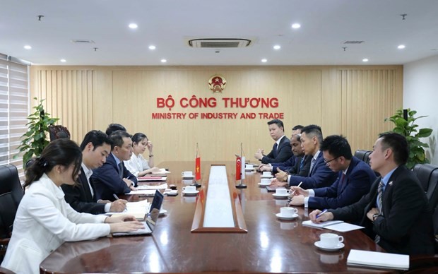 Vietnam, Singapore Talk Cooperation in Energy Development