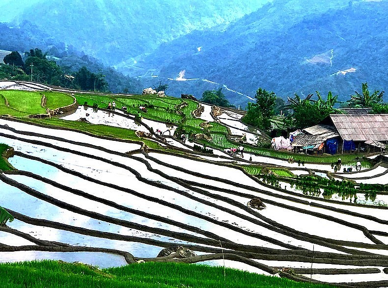 Sapa - An Iconic Destination for Travellers: The Times of India