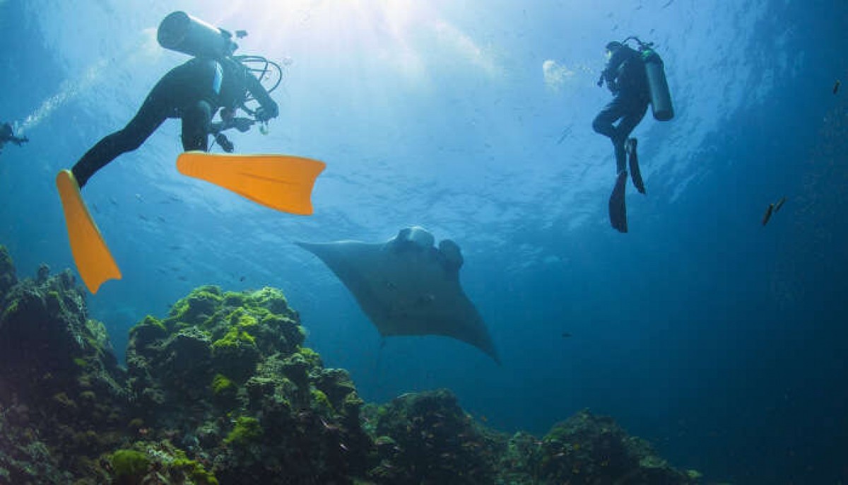 Scuba diving is a great experience in Vietnam. Photo courtesy of Traveltriangle